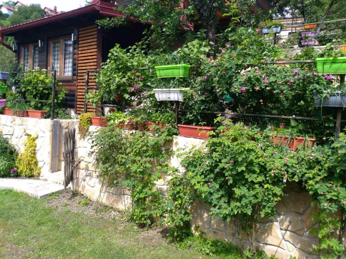 The Bungalows Szarajevó Kültér fotó